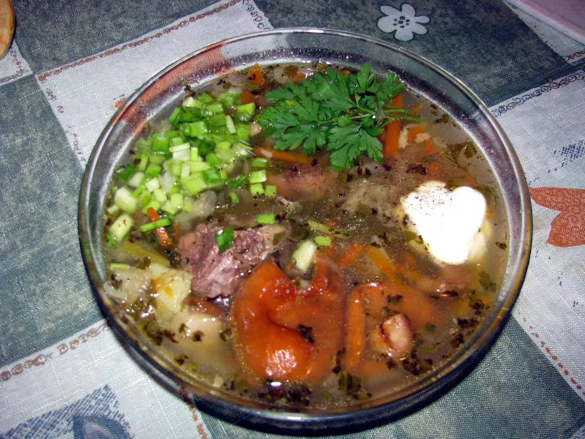 Russian fresh cabbage soup (shchi)